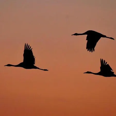 Casa vacanze Le Jardin D'odette