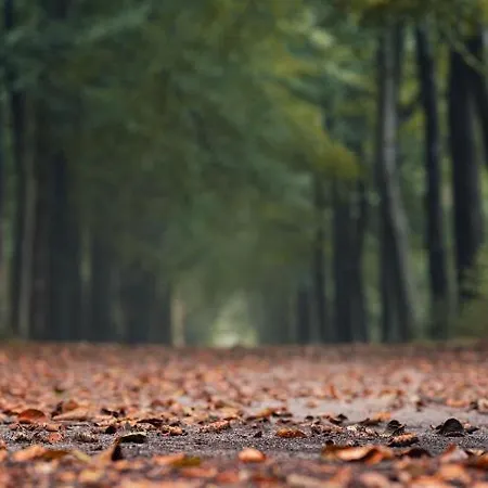 Le Jardin D'odette Casa vacanze *